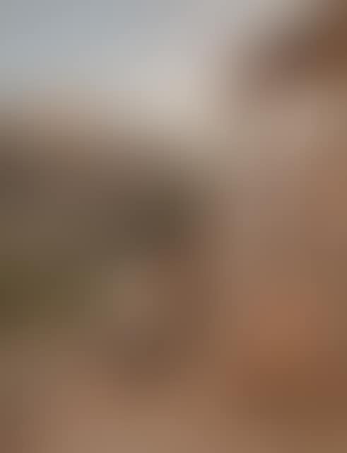 Terrace on Ischia (preview)