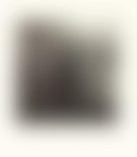 2 sheets x Birds - flowers. (preview)