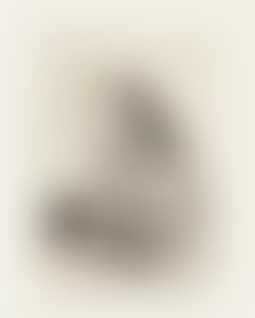 3 sheets x Los Caprichos (preview)
