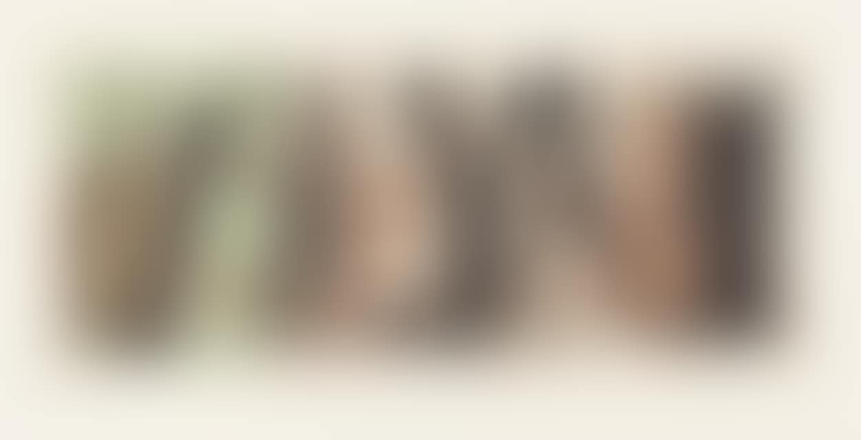 G2. (preview)