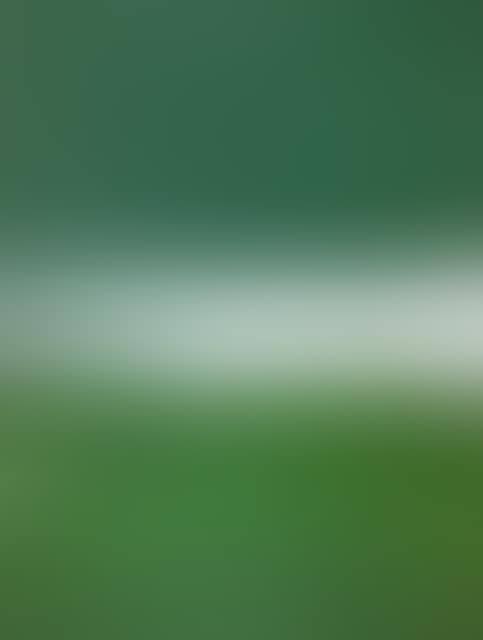 View. (preview)