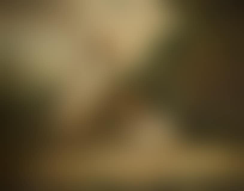 Two hunting dogs in a hilly landscape (preview)