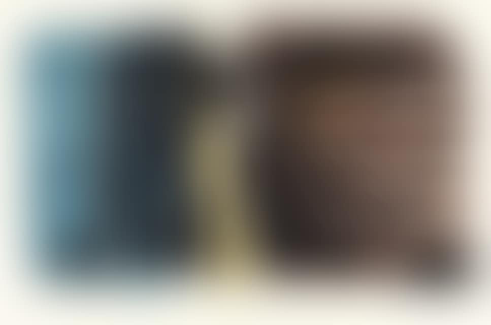 L1. (preview)