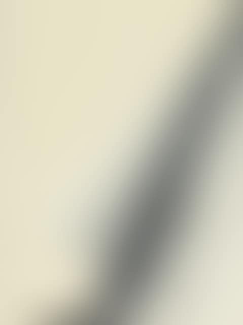 Leaf corner (preview)