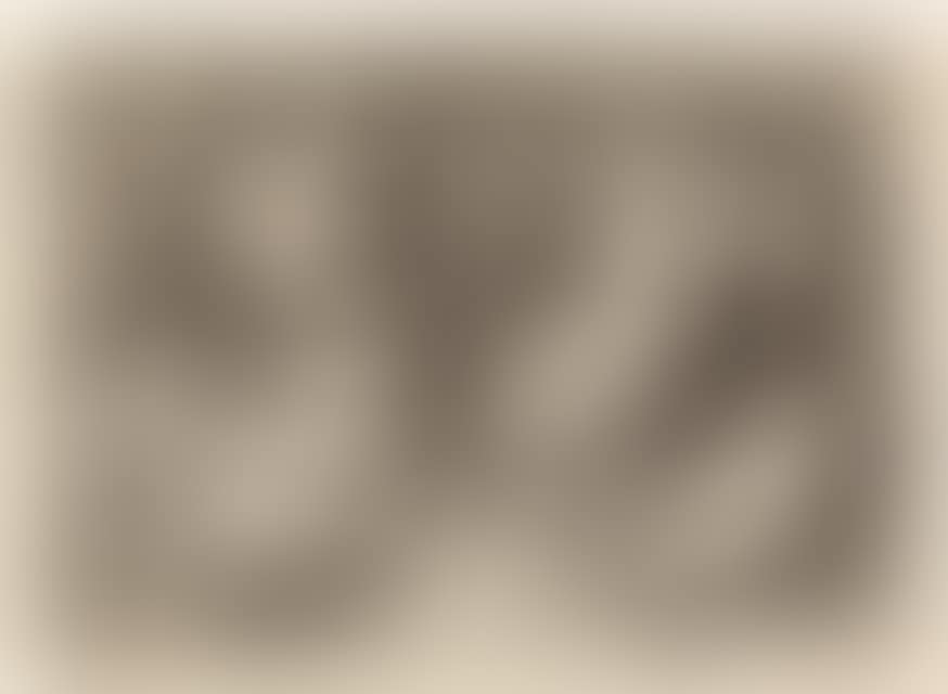 The sudarium held by two angels. (preview)