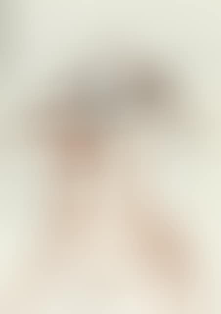 3 sheets x “Napoleonomen I-III” (preview)