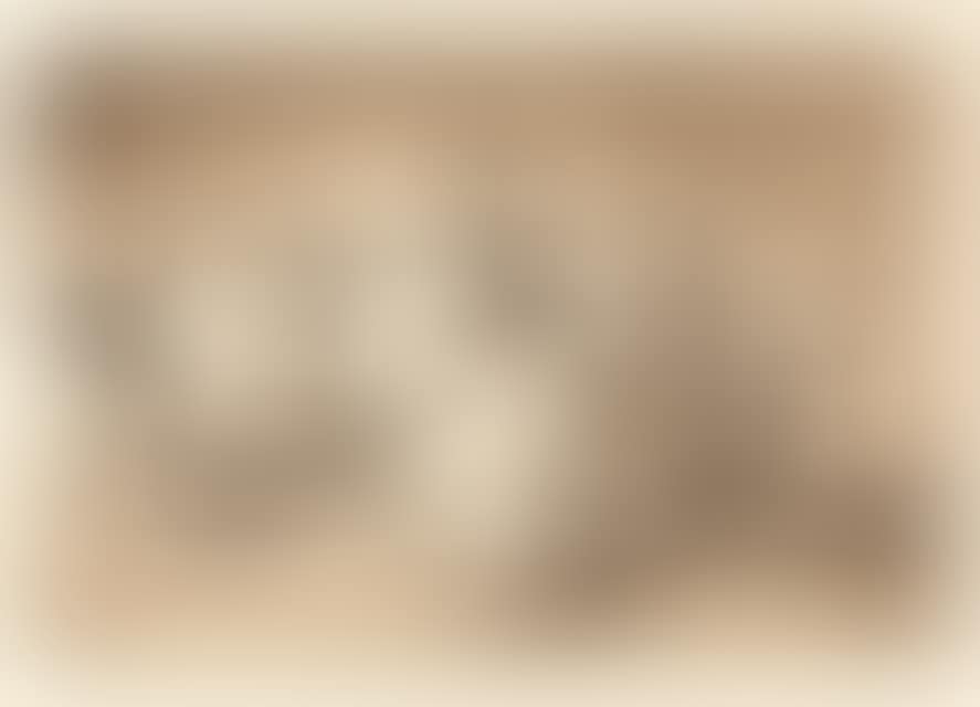 If Marina Bayló says hello. (preview)