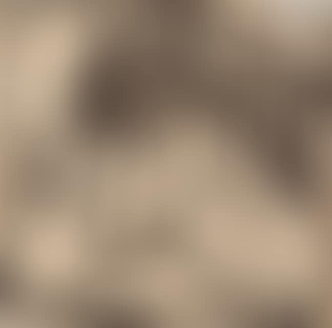 Pony. (preview)