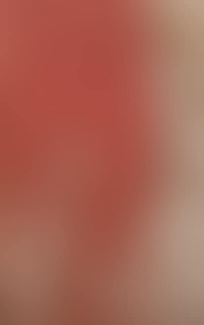 Leviticus. (preview)