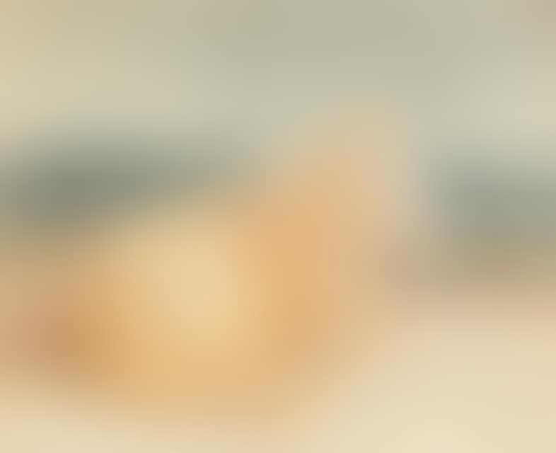 Dog lying to the right. (preview)