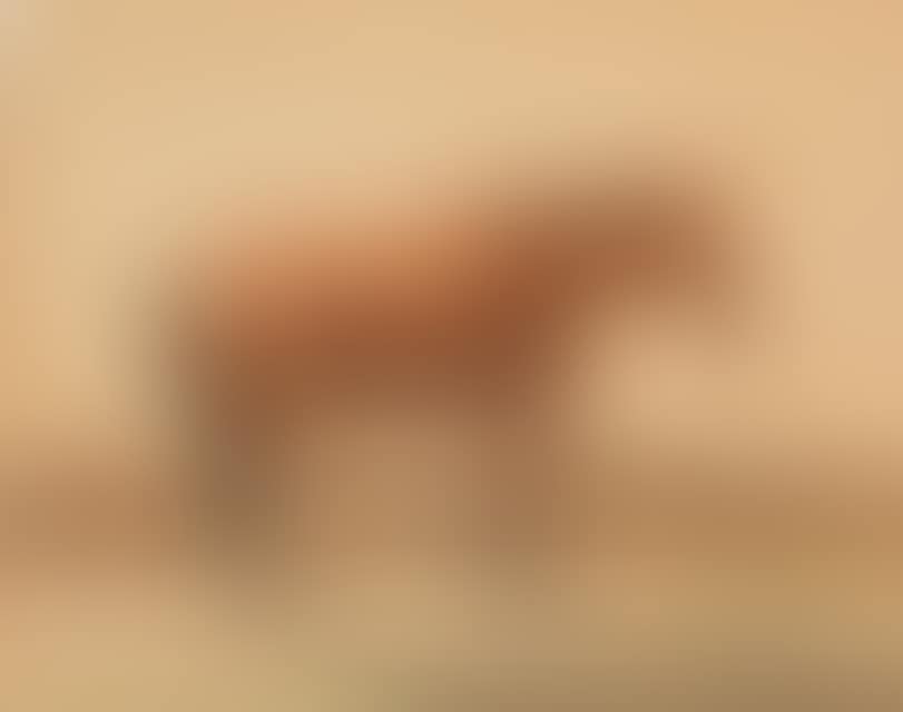 Horse in the pasture. (preview)