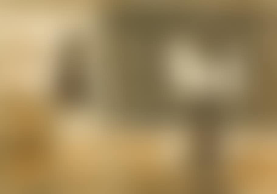 Location (preview)