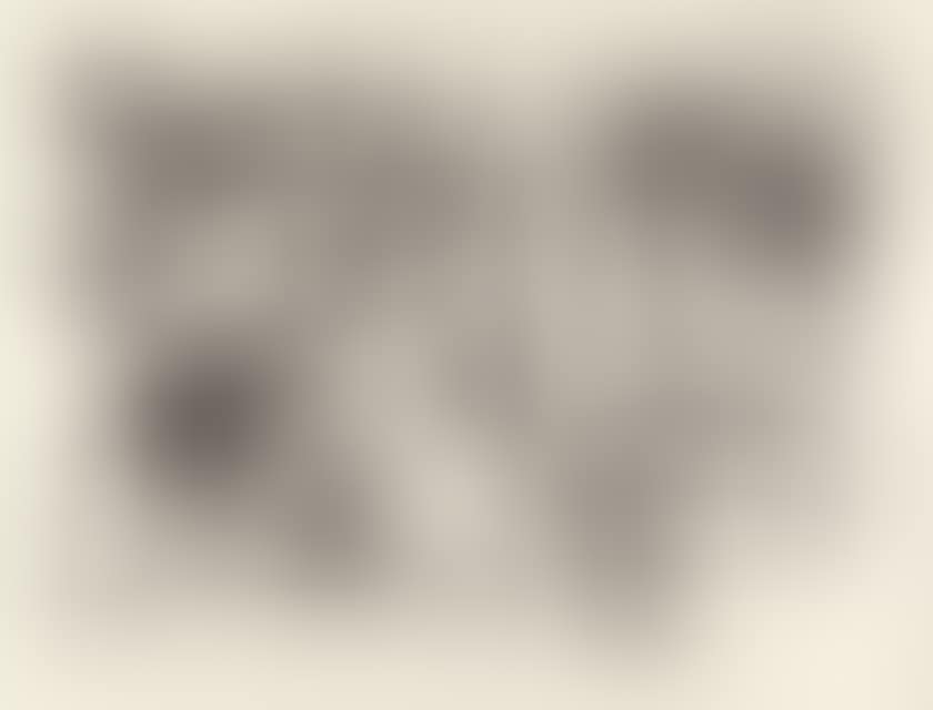 Untitled. (preview)