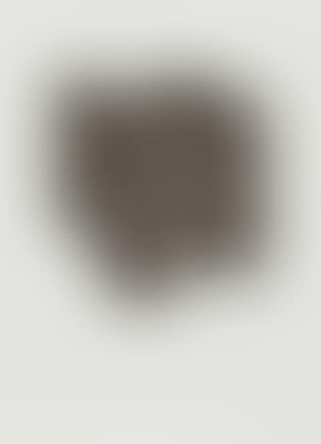 Pantheon. (preview)