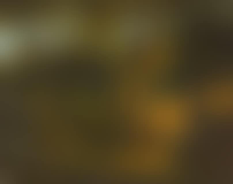 Forest landscape with brushwood collector (preview)