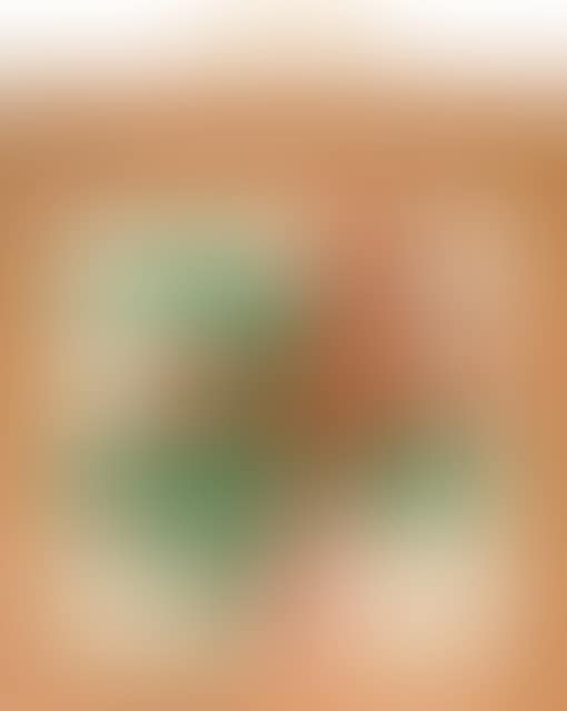 7000 oak bag. (preview)