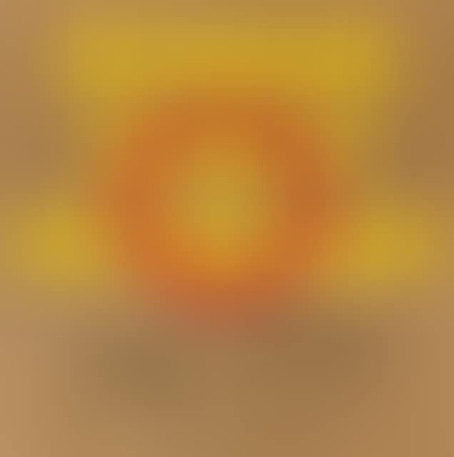Sun instead of Reagan. (preview)
