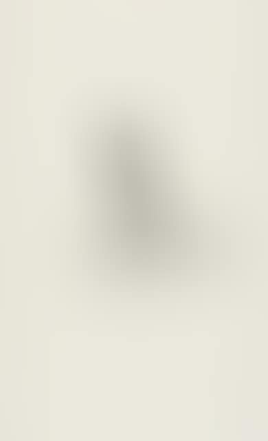 Untitled (Nagel). (preview)