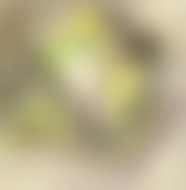 Cat"s eye. (preview)