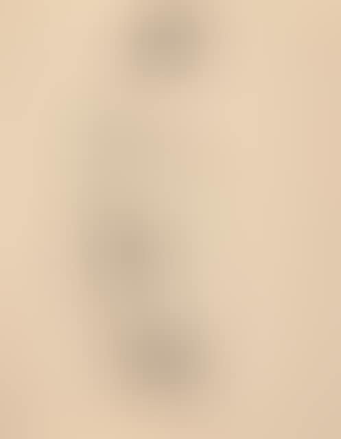 Standing nude. (preview)
