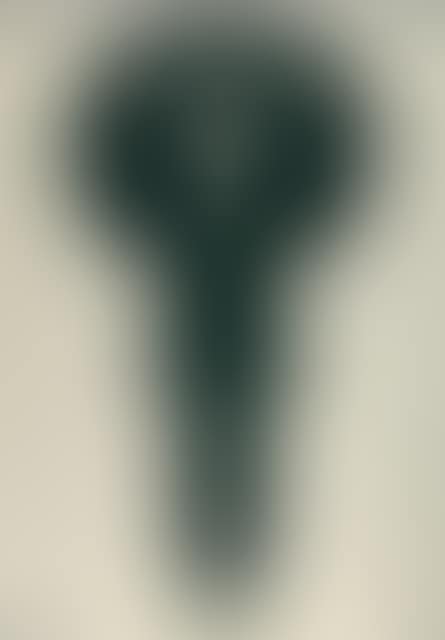 Idol, from: la magie quotidienne (preview)
