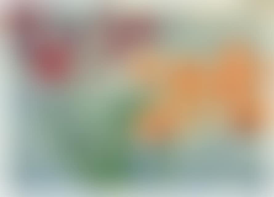 Orchid flowers (purple and orange). (preview)