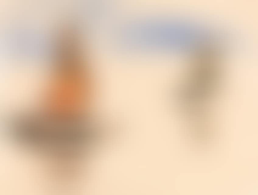 Two junks. (preview)