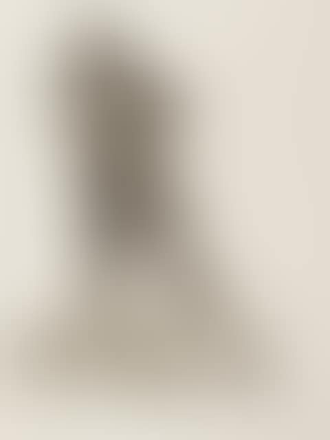 The agitation speaker (preview)
