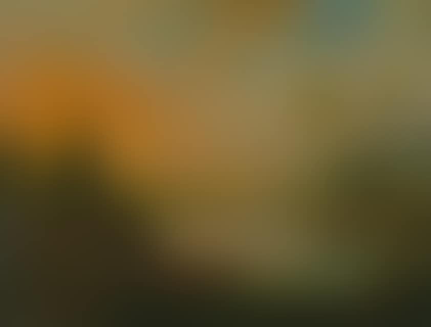 River landscape in the evening light. (preview)