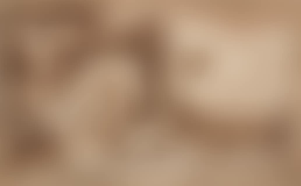 A gate in front of a waterfront village (preview)
