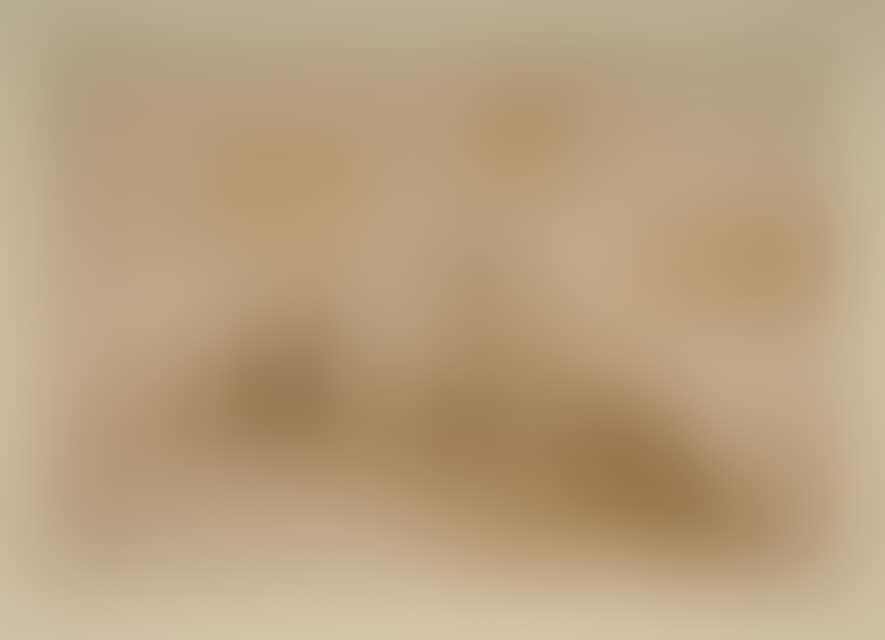 Italian fortress. (preview)