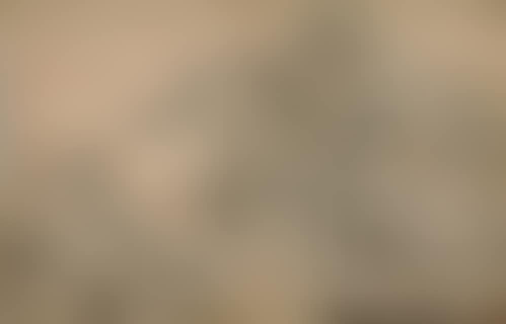 Forest landscape with river. (preview)