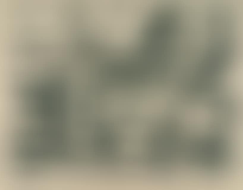 "At the beach". (preview)
