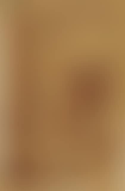 13 sheets: Amorous representations. (preview)