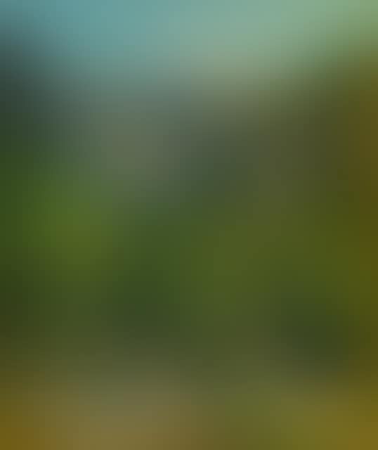 View in Saxon Switzerland. (preview)