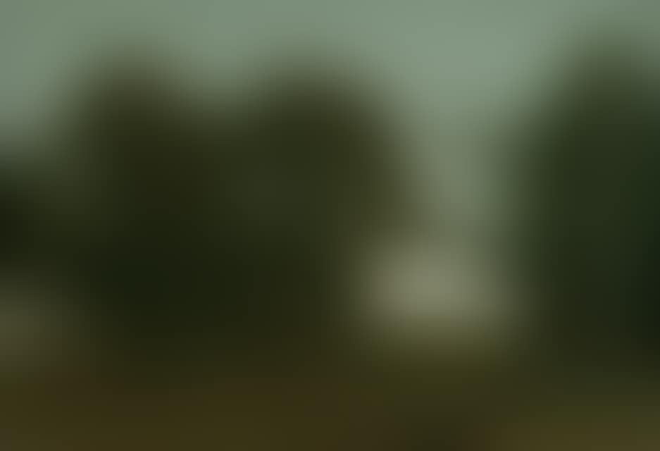 Weideauen near Dietramszell (preview)