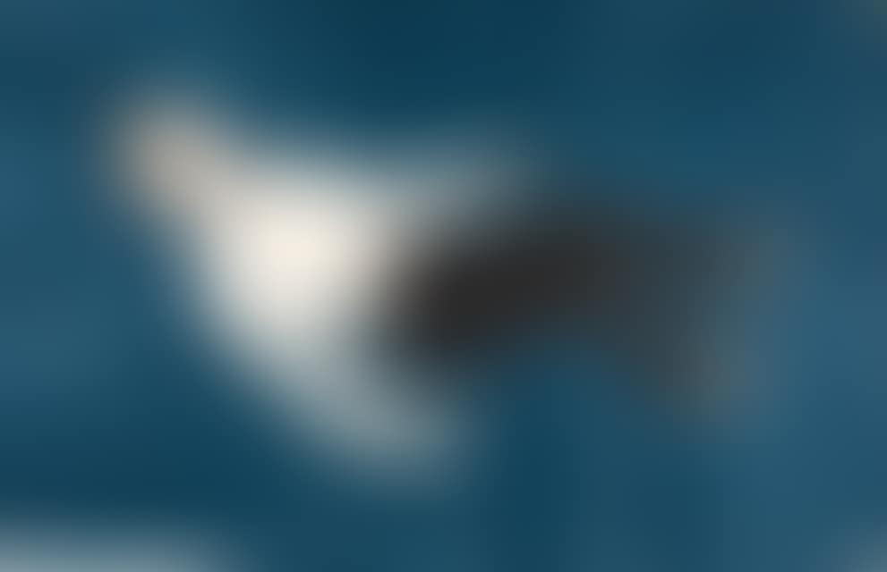 Floating man. (preview)