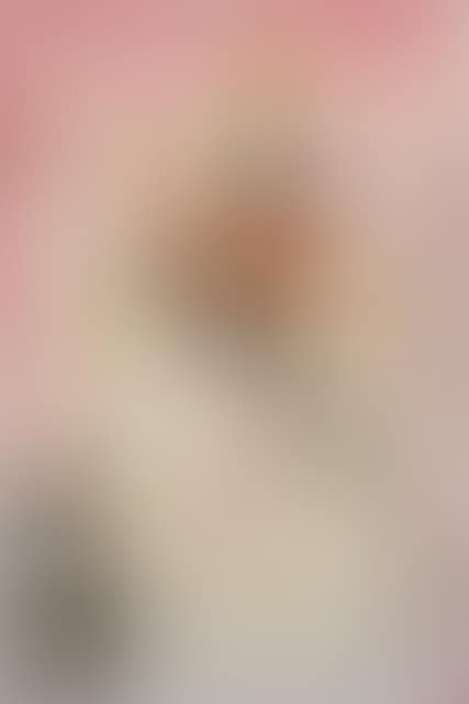 “The pseudo-monk of nice crafts”. (preview)