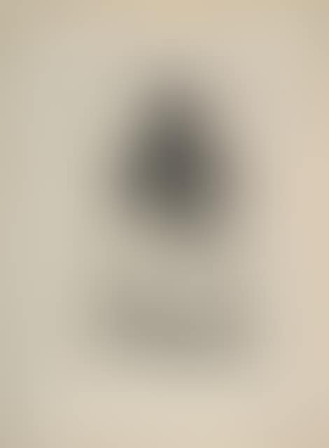 Maya with a light background (preview)