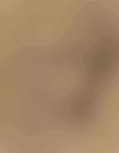 A male head to the left (preview)