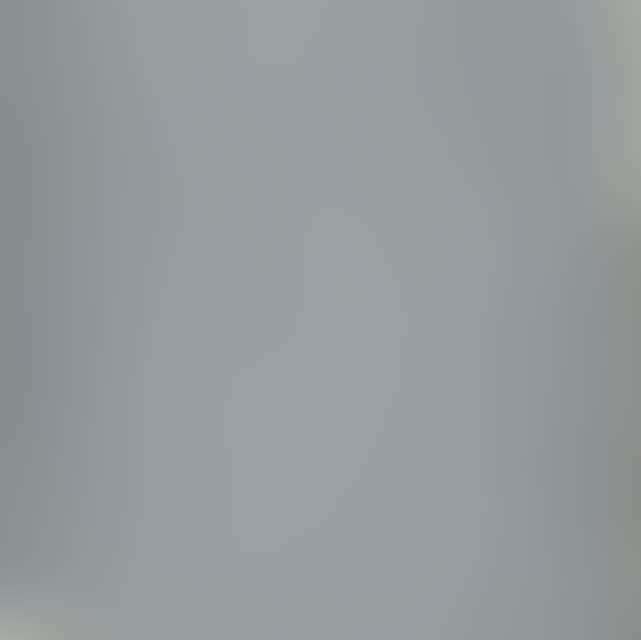 Painting (gray) (preview)