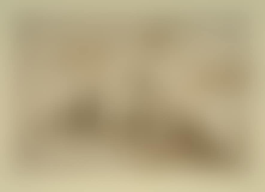 Italian fortress. (preview)