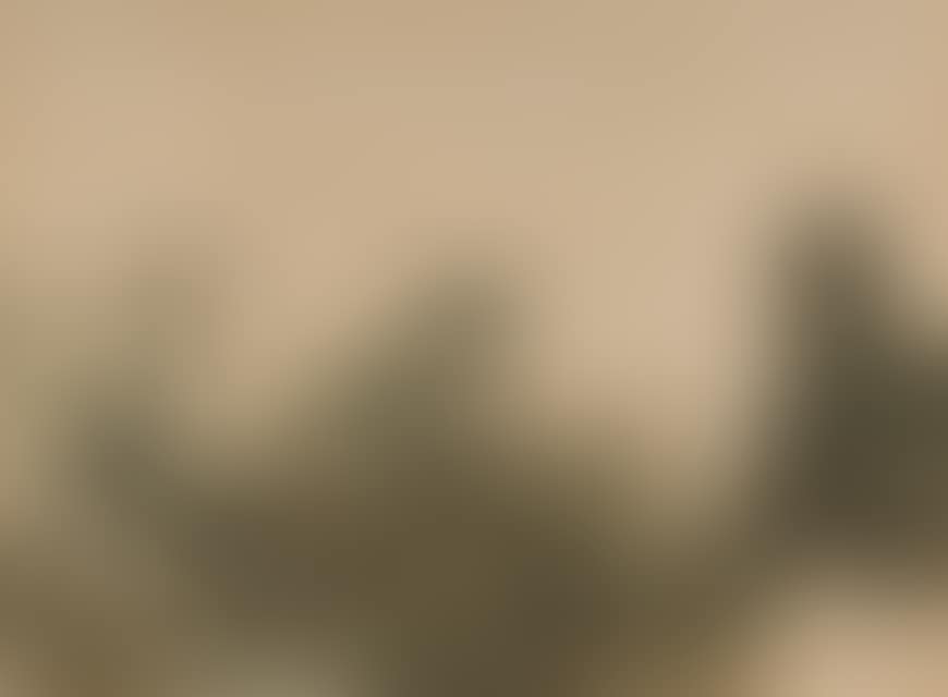 Ruins and storks in a southern landscape. (preview)