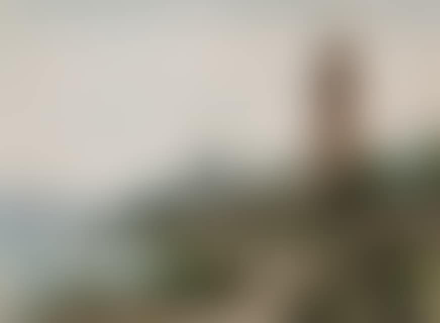 View of Oberwesel on the Rhine. (preview)