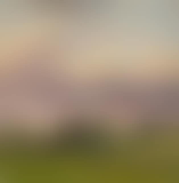Landscape study with moving sky. (preview)