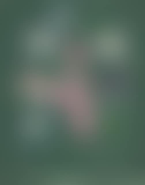 2 sheets: “Tivoli” - flower still life. (preview)
