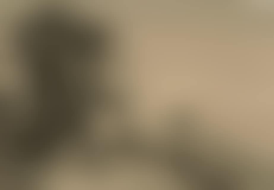 View of Vesuvius, two monks in the foreground. (preview)