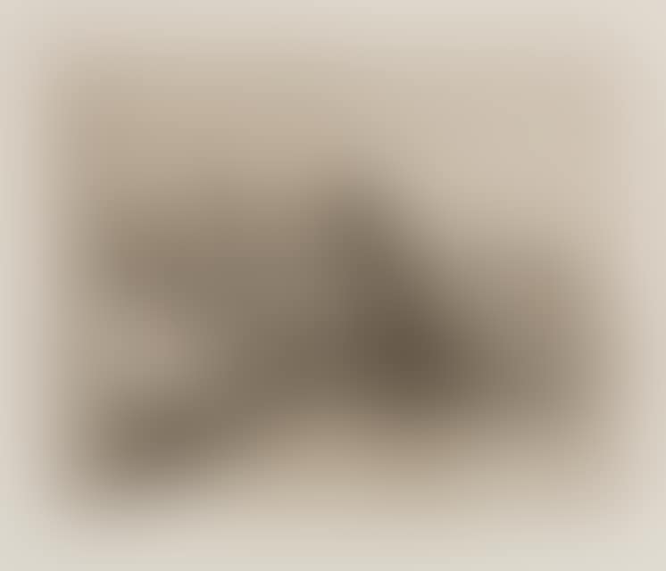 Esto es lo peor! (This is the worst!). (preview)