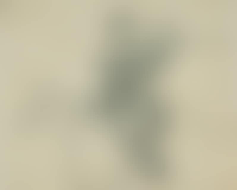 Rider with rifle. (preview)