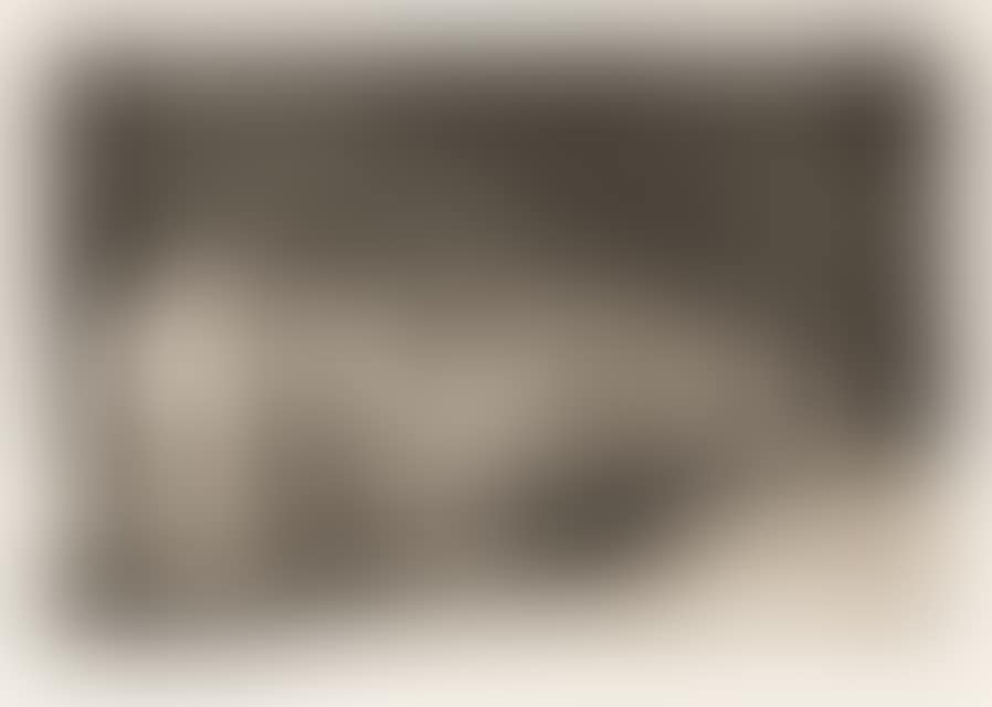 Lot of Los ensacados. (preview)